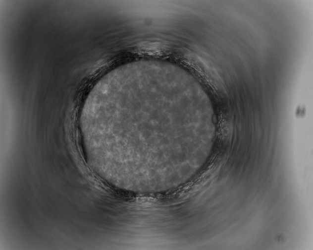 X0000103431297200810101033