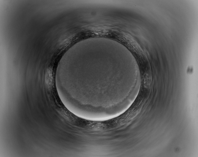 X0000103431298200810101033