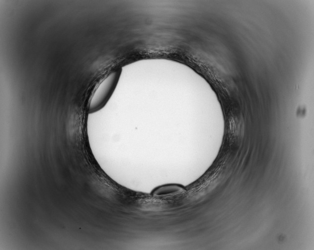 X0000103431300200810101033