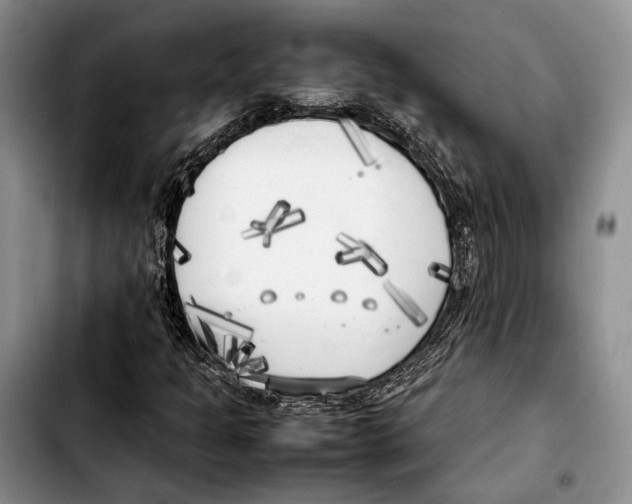 X0000103431301200810101033