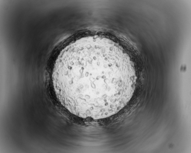 X0000103431302200810101033
