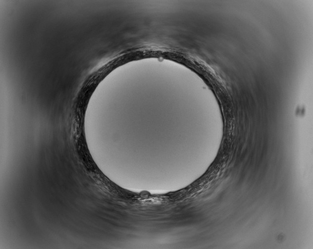 X0000103431303200810101033