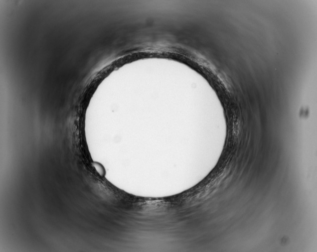 X0000103431304200810101033
