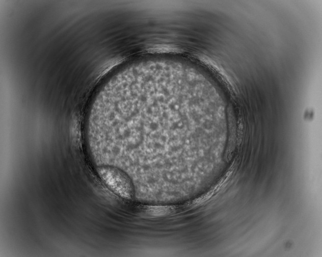X0000103431305200810101033