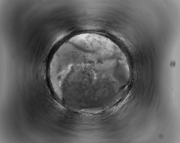 X0000103431306200810101033