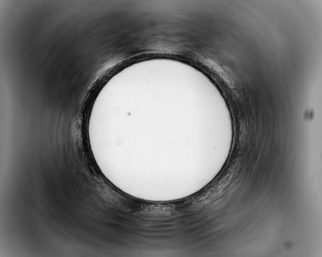 X0000103431307200810101033