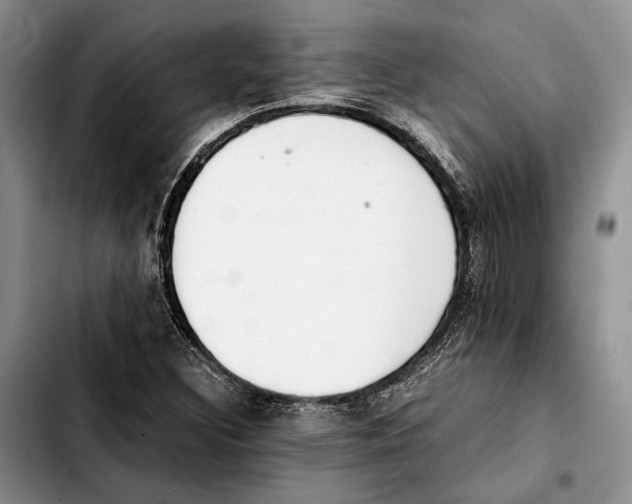 X0000103431308200810101033