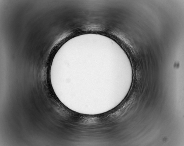 X0000103431309200810101033