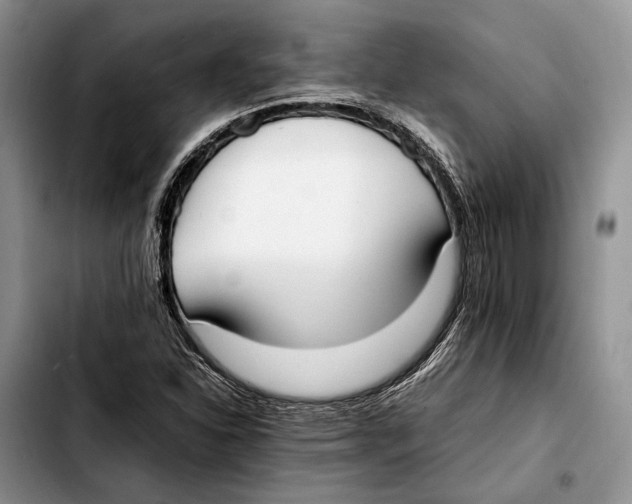 X0000103431310200810101033