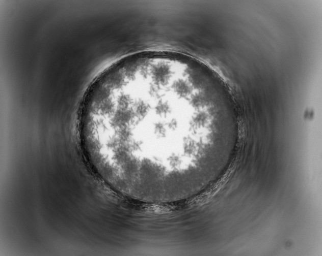 X0000103431311200810101033