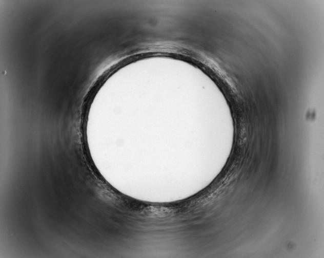 X0000103431312200810101033