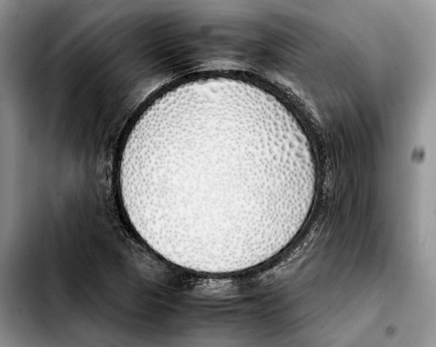 X0000103431313200810101033