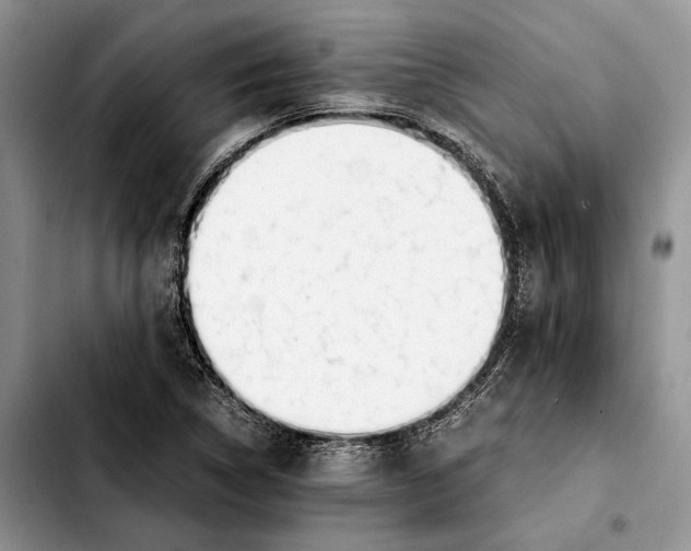 X0000103431314200810101033