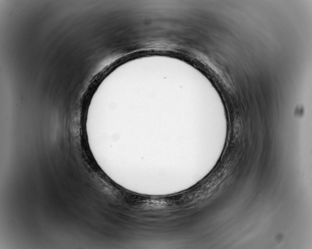 X0000103431315200810101033