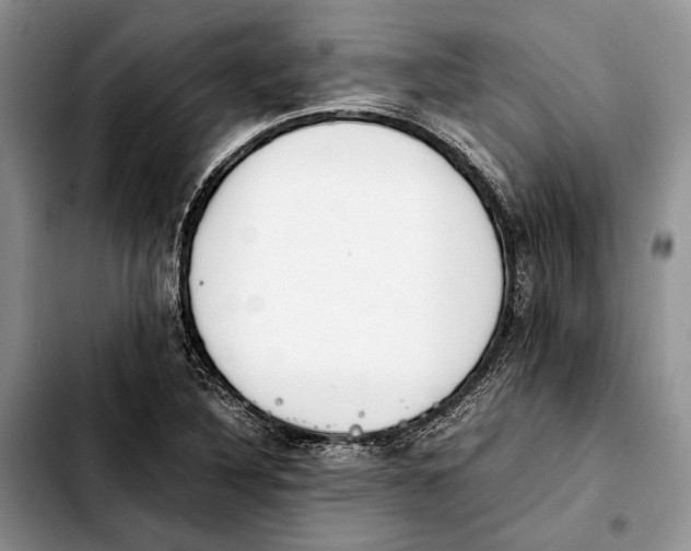 X0000103431316200810101033