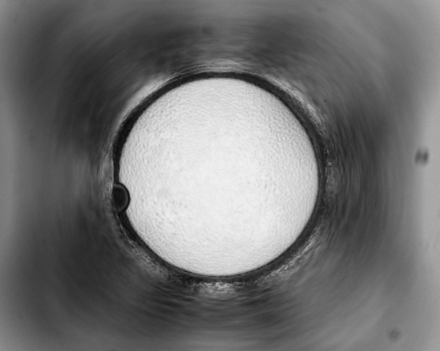 X0000103431317200810101033