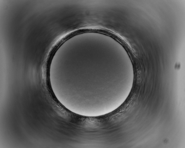 X0000103431319200810101033