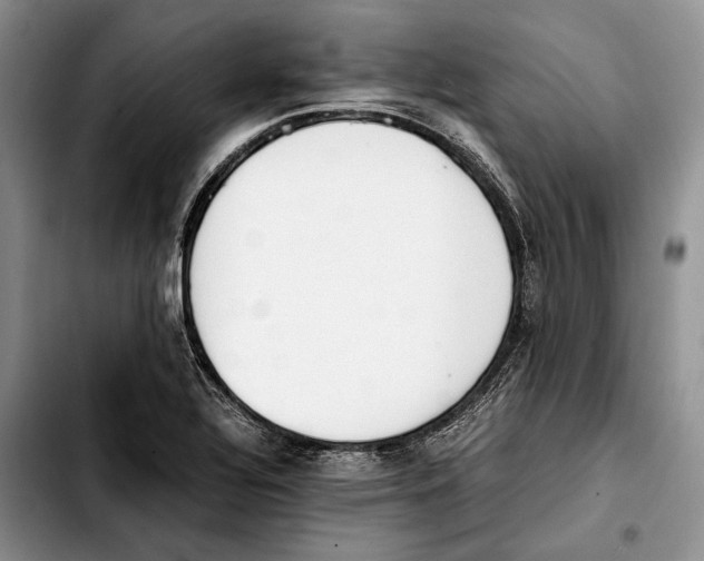 X0000103431320200810101033