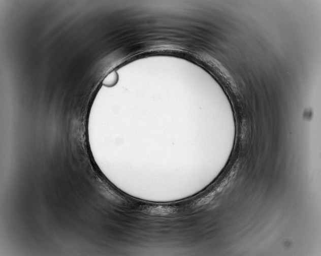 X0000103431321200810101033