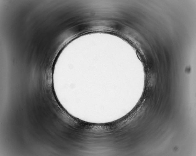 X0000103431322200810101033
