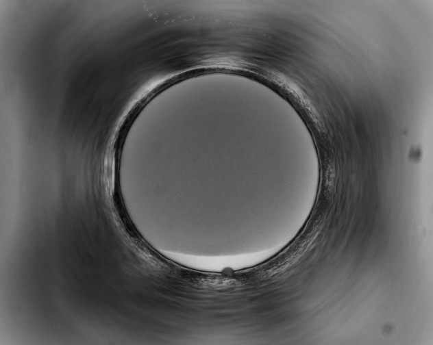 X0000103431323200810101033
