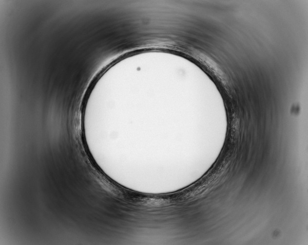 X0000103431324200810101033