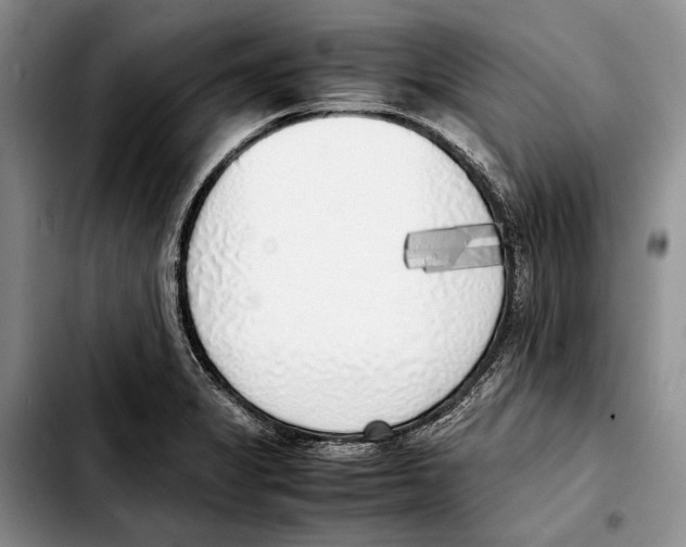 X0000103431325200810101033