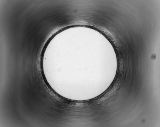 X0000103431326200810101033