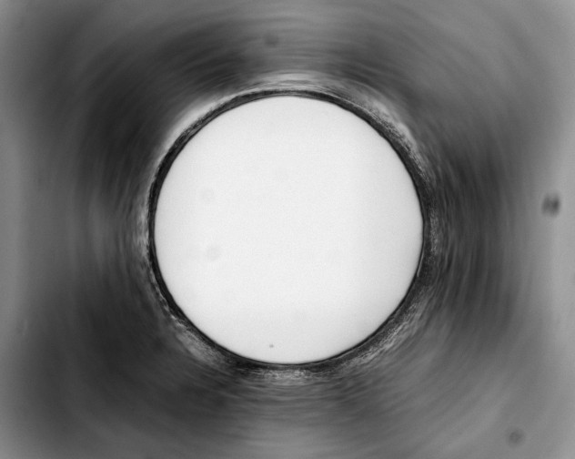 X0000103431328200810101033