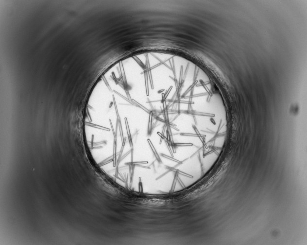 X0000103431329200810101033