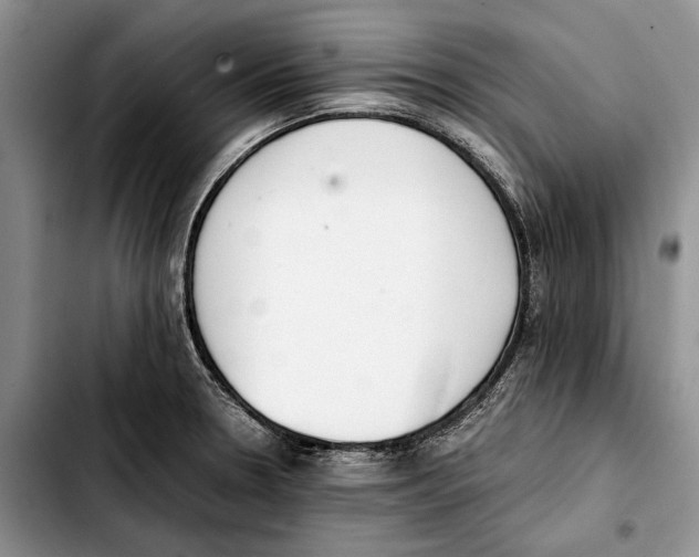X0000103431330200810101033