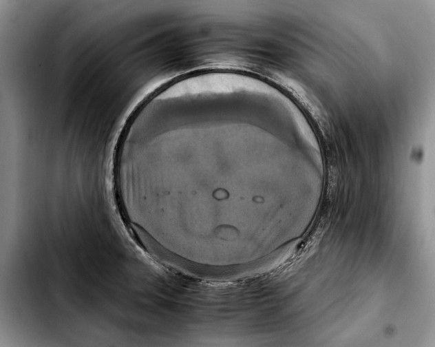 X0000103431331200810101033
