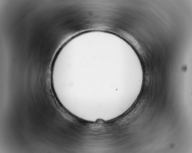 X0000103431332200810101033