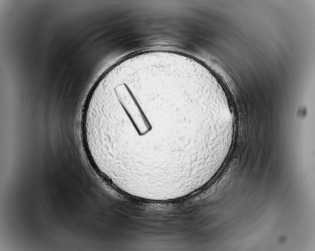 X0000103431333200810101033