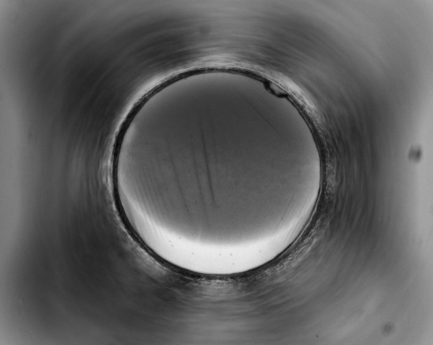 X0000103431334200810101033