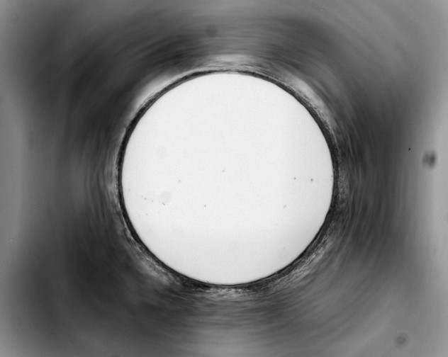 X0000103431336200810101033