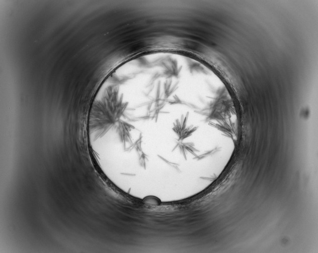 X0000103431337200810101033
