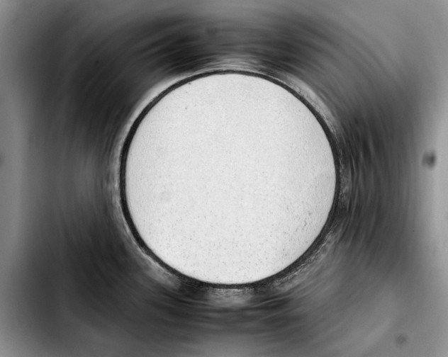 X0000103431339200810101033