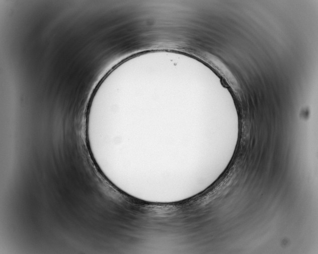 X0000103431340200810101033