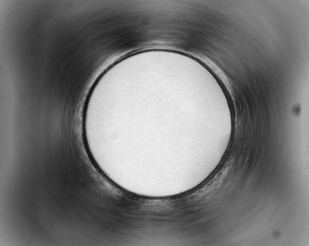 X0000103431341200810101033