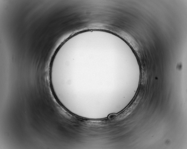 X0000103431342200810101033