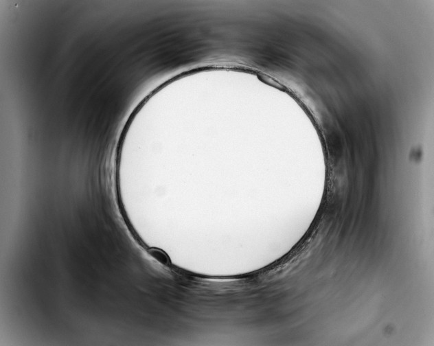X0000103431343200810101033