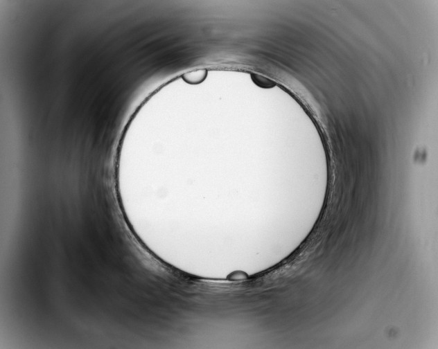 X0000103431344200810101033