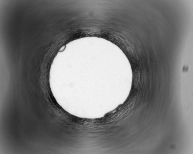 X0000103431345200810101033