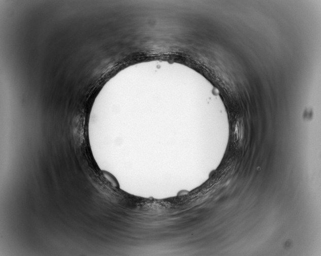 X0000103431348200810101033