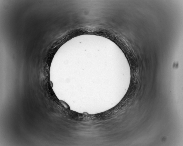 X0000103431349200810101033