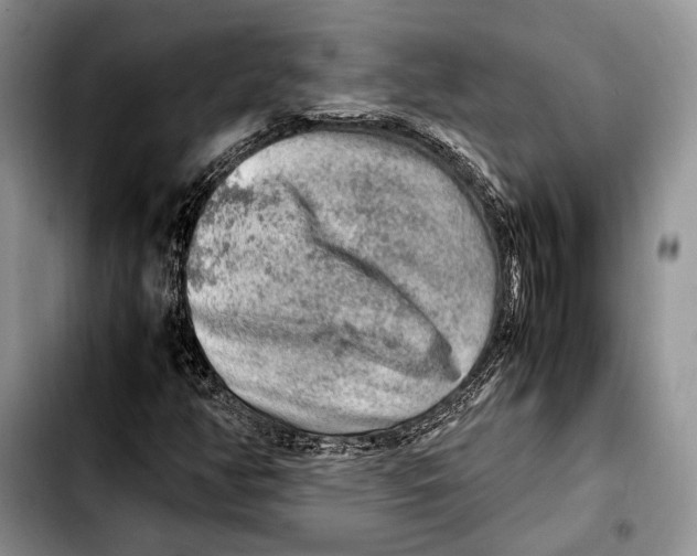 X0000103431350200810101033