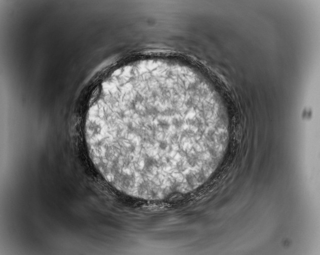 X0000103431351200810101033