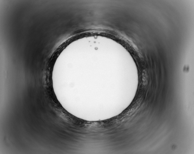 X0000103431352200810101033