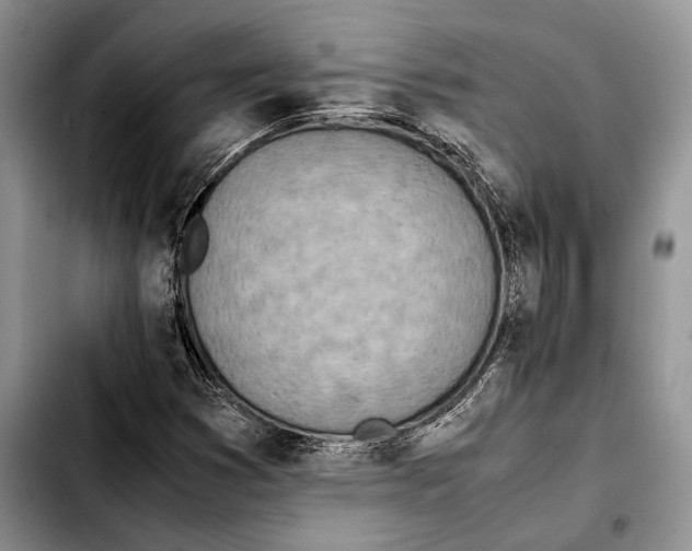 X0000103431353200810101033